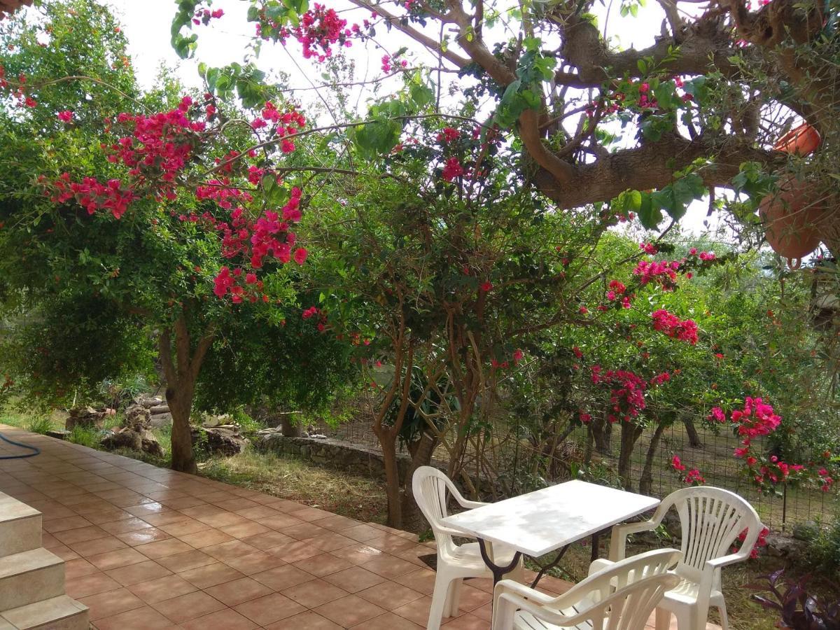 Apartament Ktima Tzamika Episkopi-Chania Zewnętrze zdjęcie