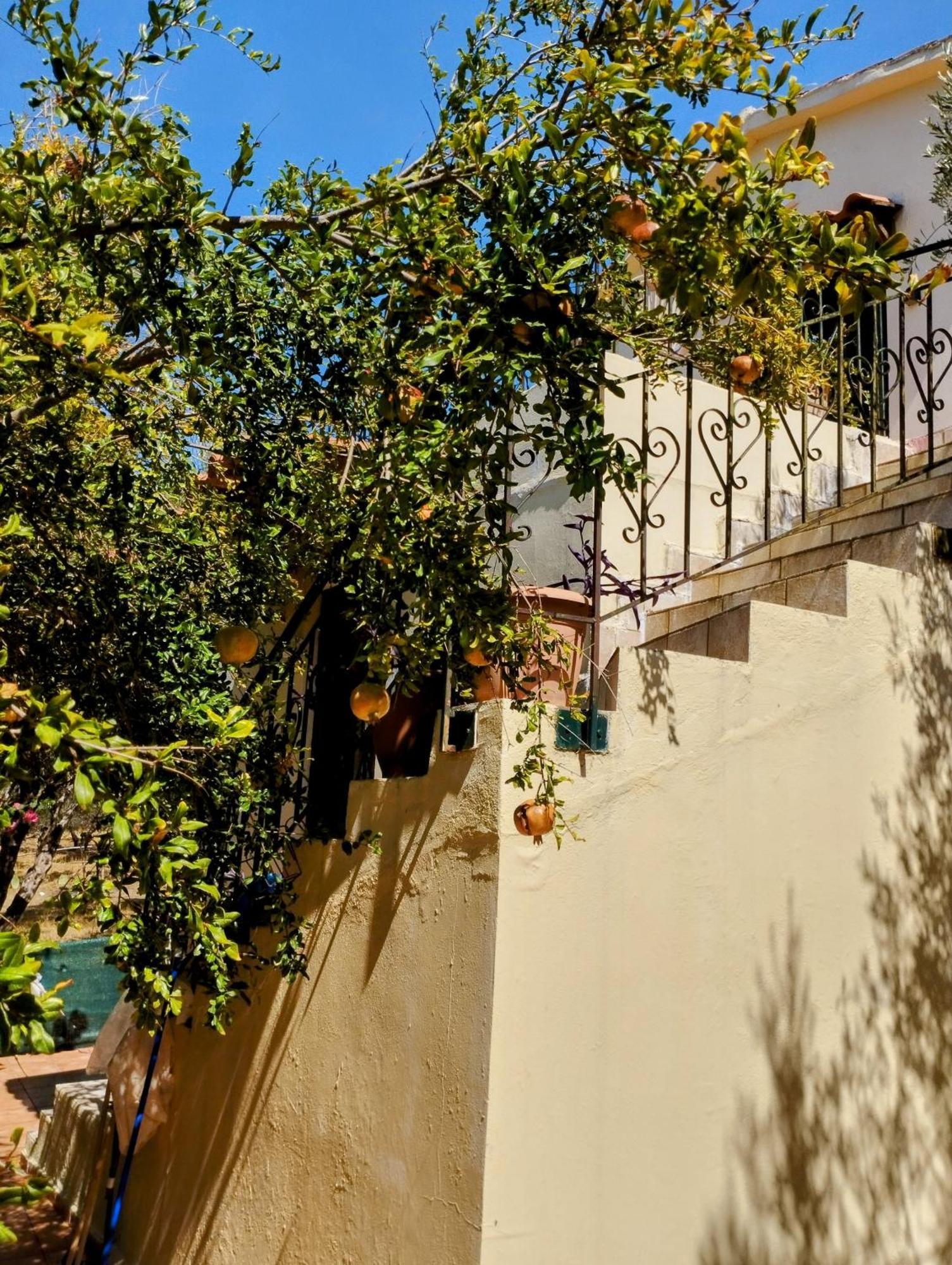 Apartament Ktima Tzamika Episkopi-Chania Zewnętrze zdjęcie