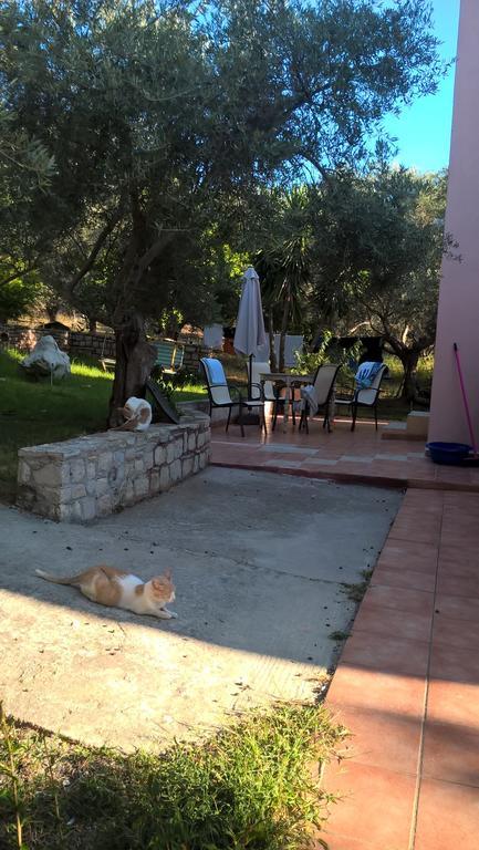 Apartament Ktima Tzamika Episkopi-Chania Zewnętrze zdjęcie