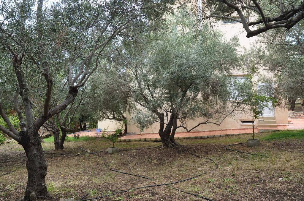 Apartament Ktima Tzamika Episkopi-Chania Zewnętrze zdjęcie