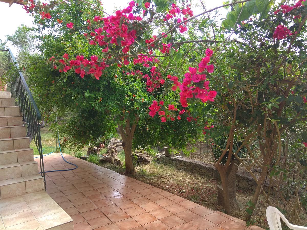 Apartament Ktima Tzamika Episkopi-Chania Zewnętrze zdjęcie