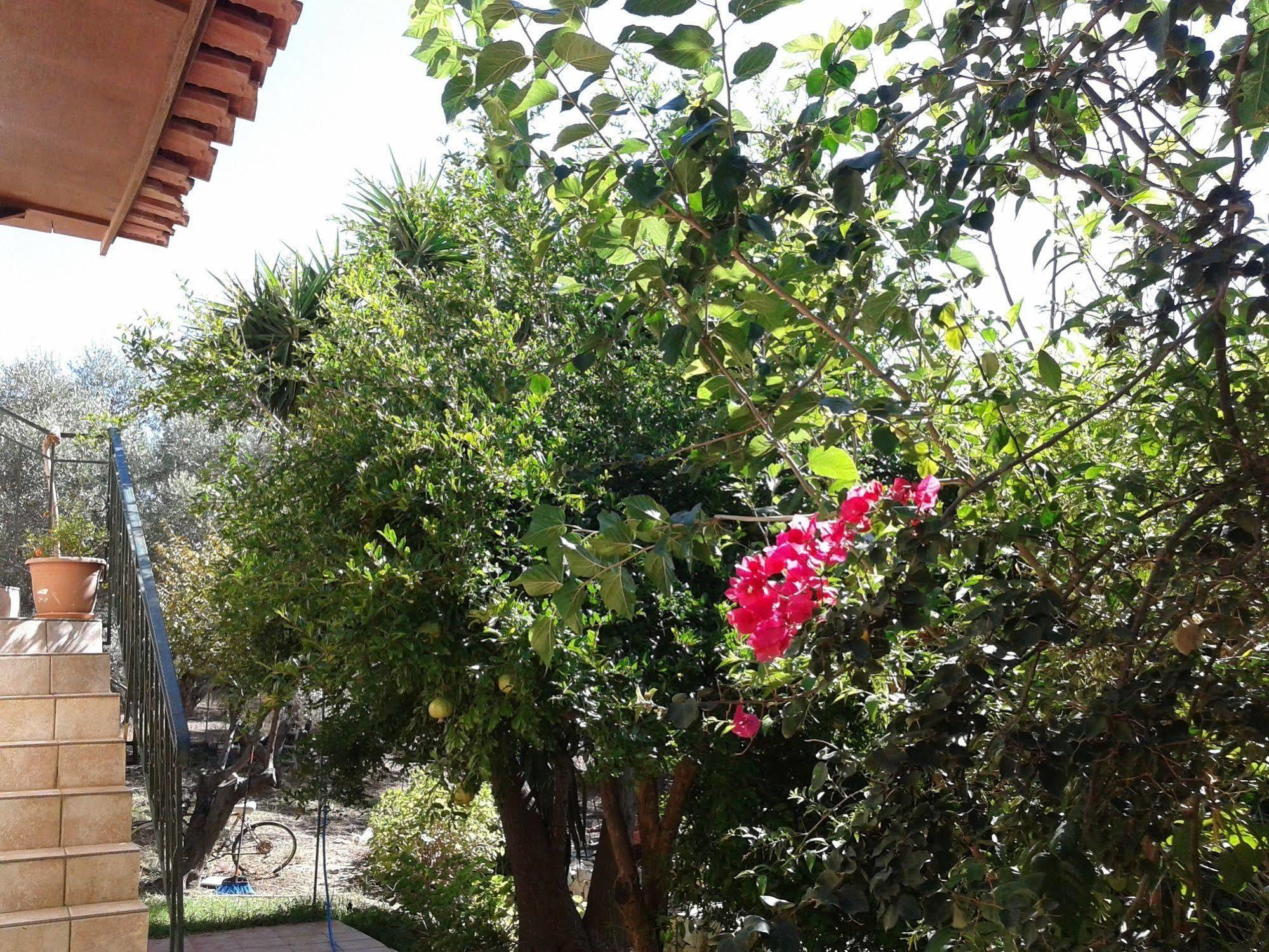 Apartament Ktima Tzamika Episkopi-Chania Zewnętrze zdjęcie