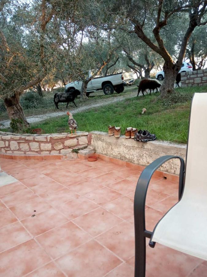 Apartament Ktima Tzamika Episkopi-Chania Zewnętrze zdjęcie